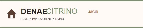 DenaeCitrino Home